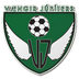 Vaengir Jupiters Logo
