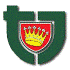 Valasske Mezirici Logo