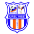 Vise Logo