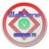 Wallidan Logo
