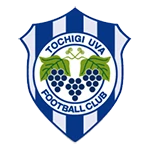 Tochigi City