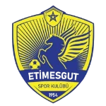 Etimesgut Belediyespor Logo