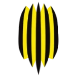 Rukh Vynnyky