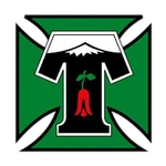 Deportes Temuco