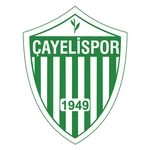 Çayelispor Logo