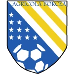 Agricola Borcea