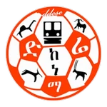 Dire Dawa Kenema Logo