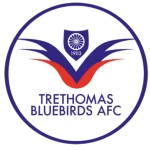 Trethomas Bluebirds
