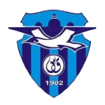 Bur Fouad Logo