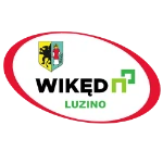 Luzino
