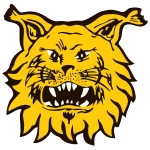 Ilves II