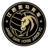 Yichun Grand Tiger