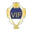 Vanersborgs IF