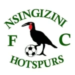 Nsingizini Hotspurs