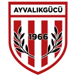 Ayvalıkgücü Belediyespor