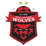 Wollongong Wolves