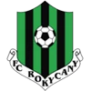 Rokycany Logo