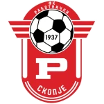 Rabotnicki U19 Logo